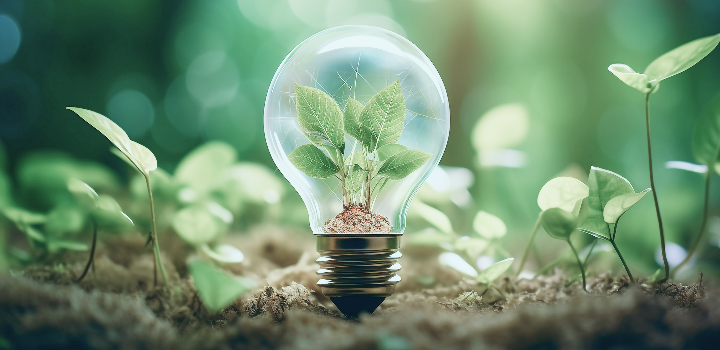Sustainability
